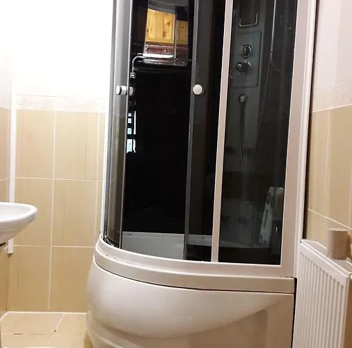 Guest house U Romana *