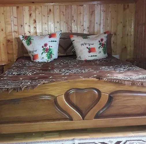 Guest house U Romana Yaremche